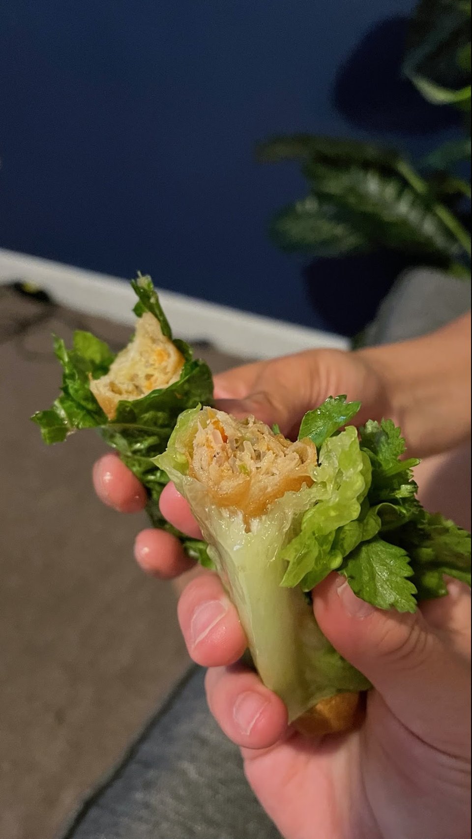 Eggroll with Lettuce Cilantro and Sauce